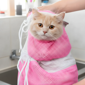 Cat Supplies