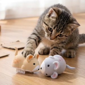 Cat Toy